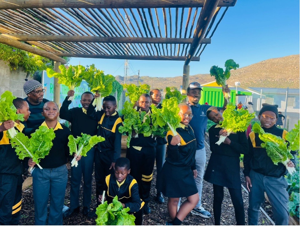 masi-sports