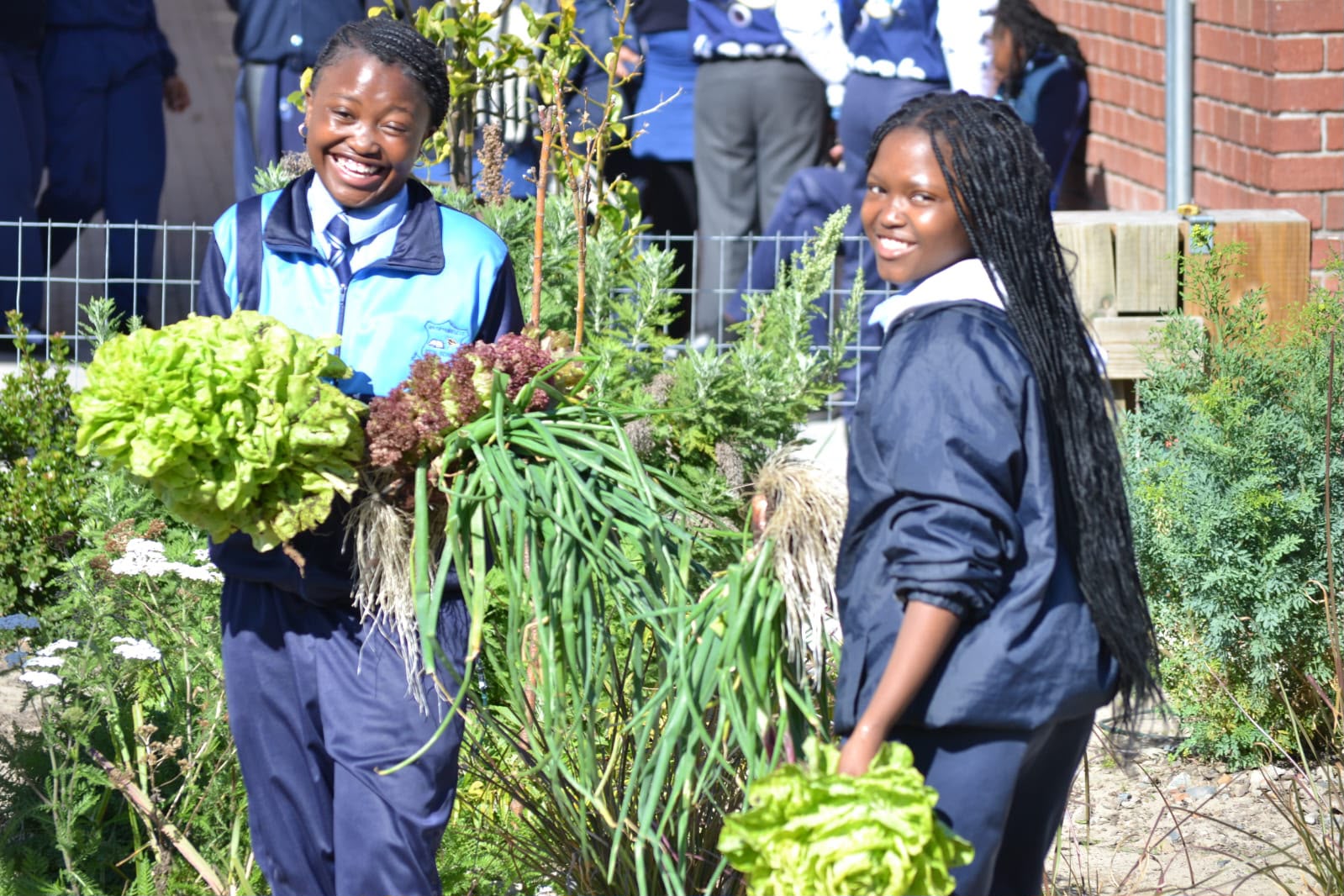 Masi food gardens flourishing Masi food gardens flourishing